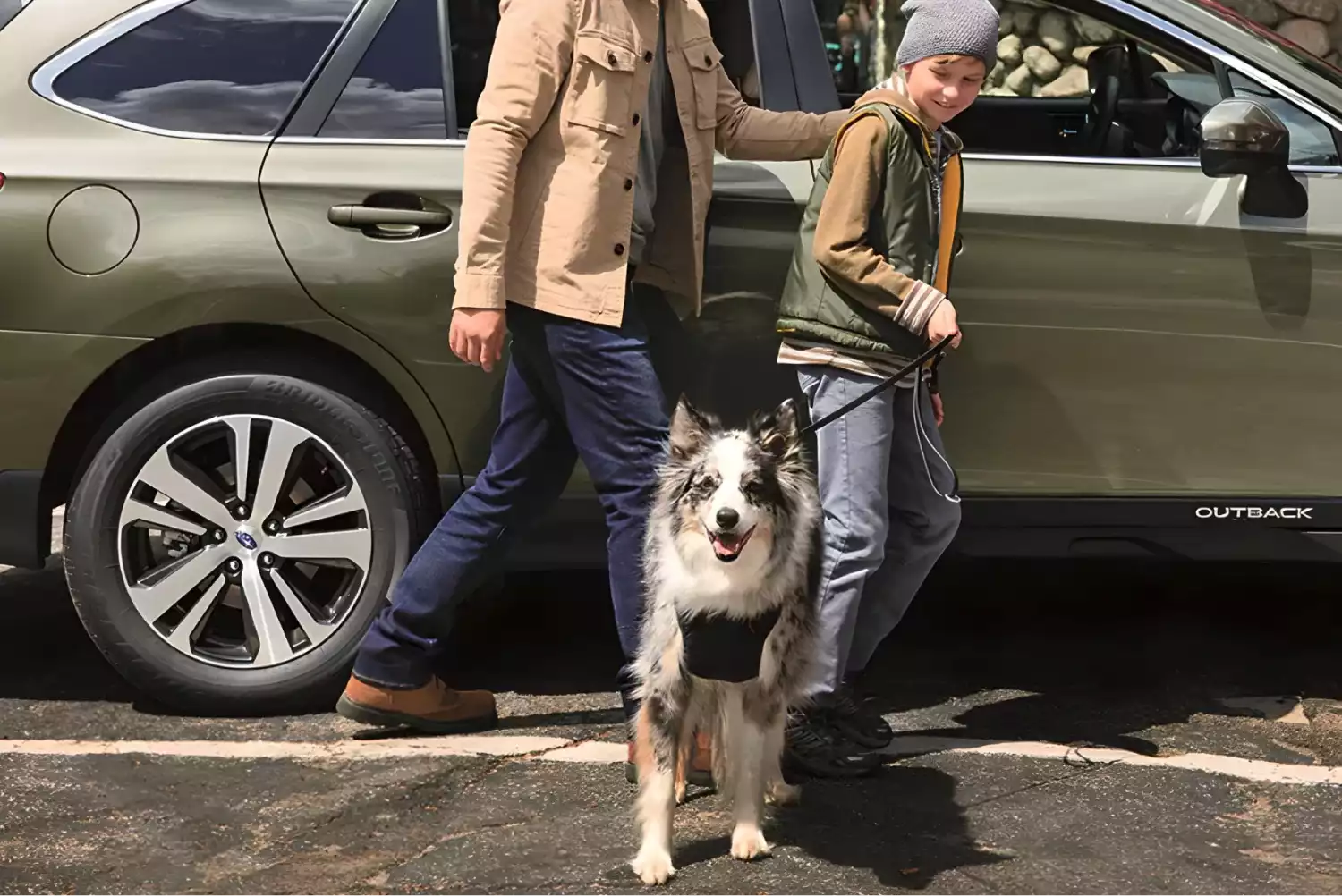 Collies Dog Car Seat Belt for Subaru Outback