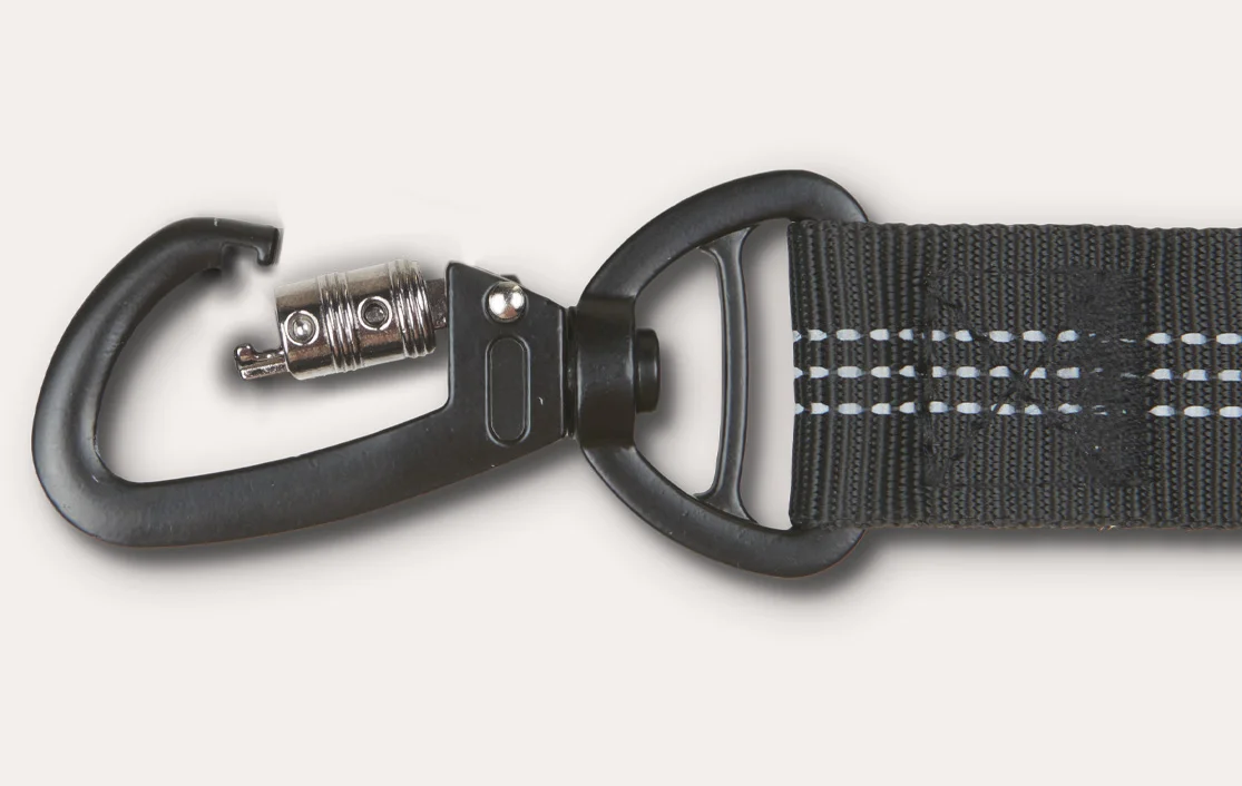 Collies Dog Car Seat Belt for Subaru Outback